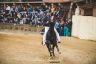 Palio Straordinario: la fotogallery delle Prove di Addestramento Mattutine